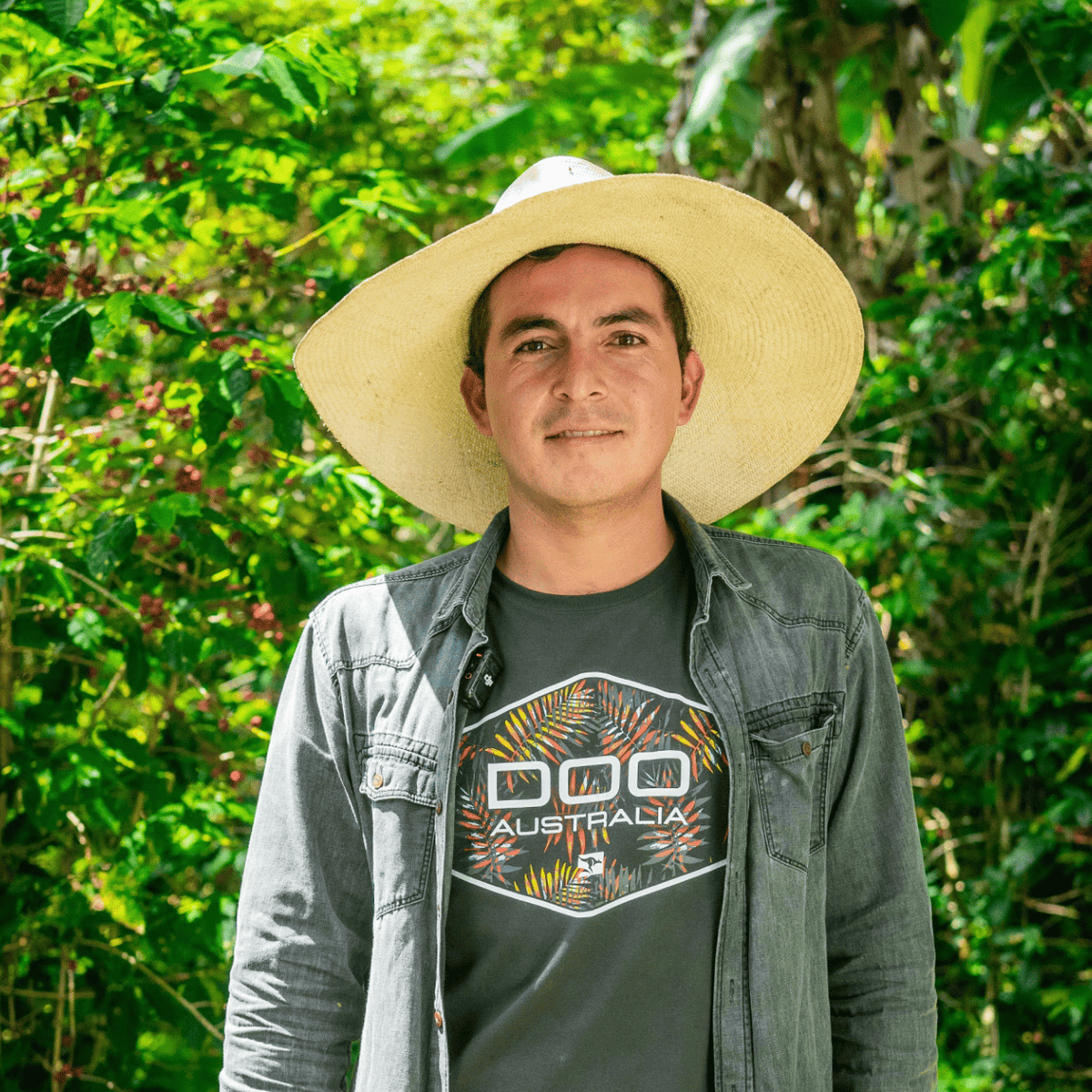 [Peru] Querofinca / Typica / Washed