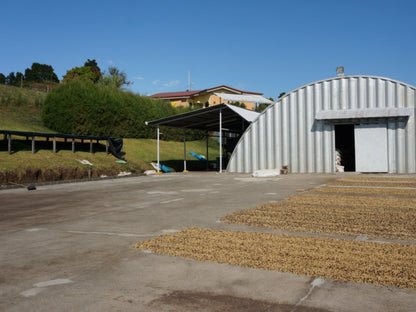 【Costa Rica】Leoncio,Herbazu / Villa sarchi / Black honey