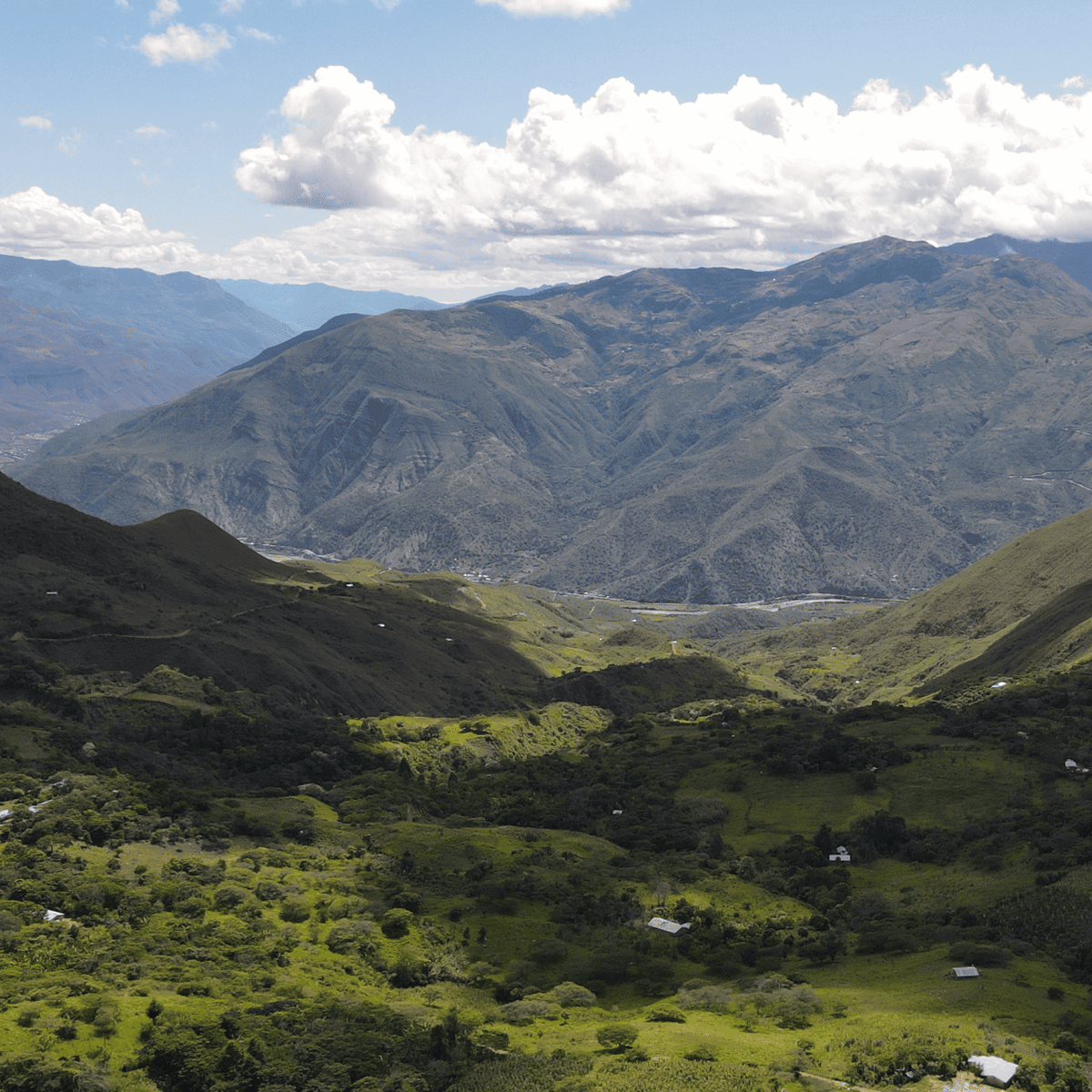 [Peru] Querofinca / Typica / Washed