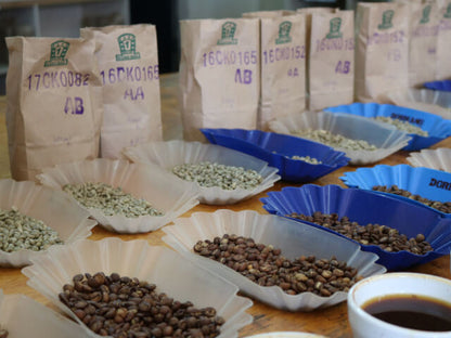 【Kenya】Marimira / SL28,K7,Ruiru11,Batian / Washed