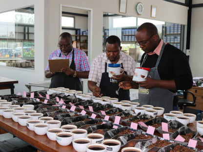 【Kenya】Marimira / SL28,K7,Ruiru11,Batian / Washed