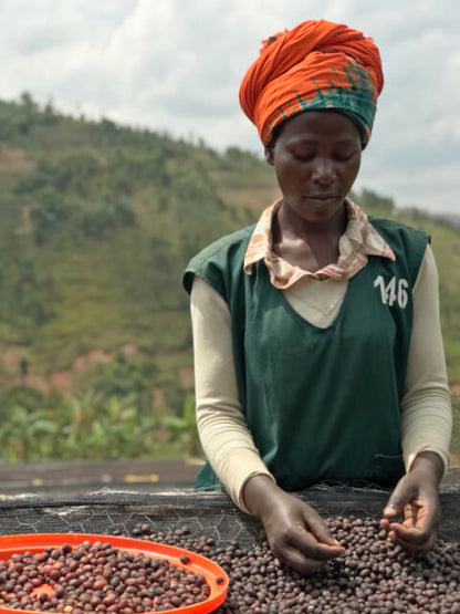 【ルワンダ】シェンダジュル / ナチュラル