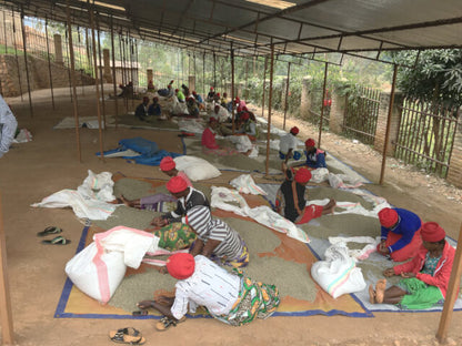 【ルワンダ】シェンダジュル / ナチュラル