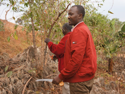 【ルワンダ】シェンダジュル / ナチュラル