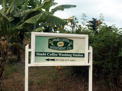 【ルワンダ】シェンダジュル / ナチュラル