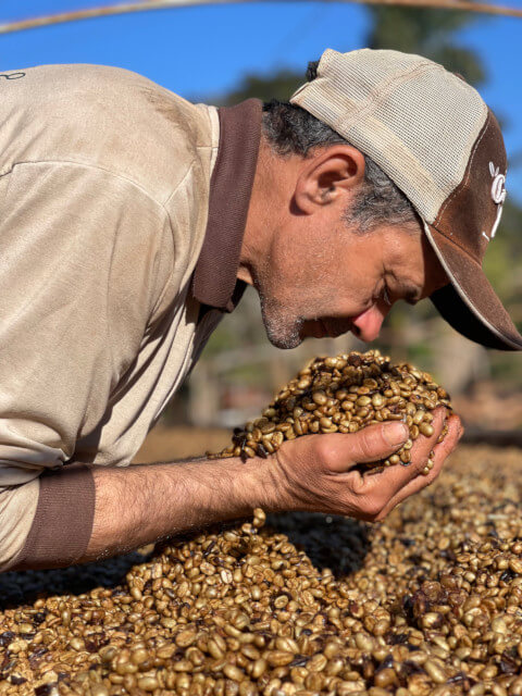 [Brazil] Caxambu / Arara / Honey