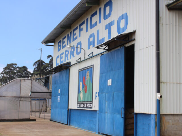 [Costa Rica] Cello Alto, La Union / SL28 / Natural