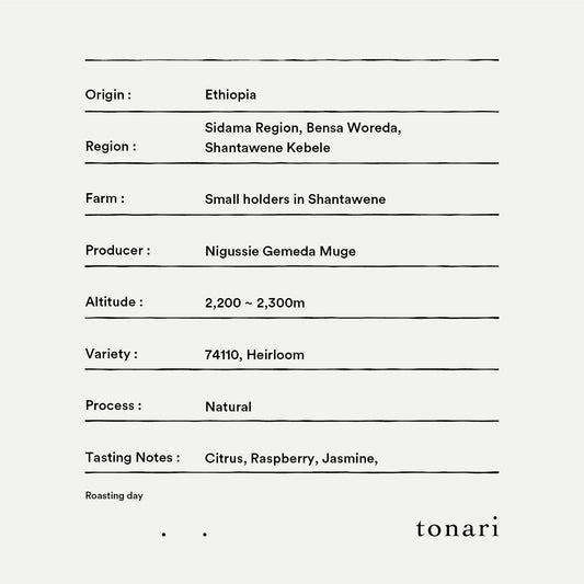 【Ethiopia】Shantawene / 74110,Heirloom / Natural