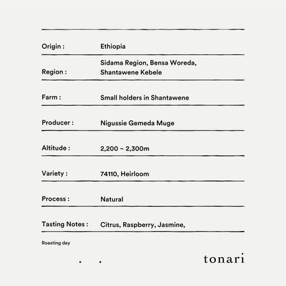 【Kenya】Endebess / Sl28,SL34,Batian,Ruiru11 / Natural