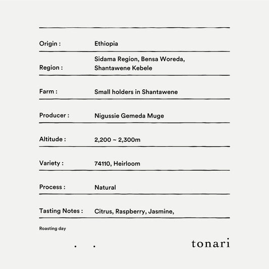 【Kenya】Endebess / Sl28,SL34,Batian,Ruiru11 / Natural