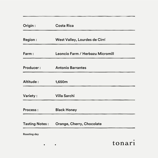 【Costa Rica】Leoncio,Herbazu / Villa sarchi / Black honey