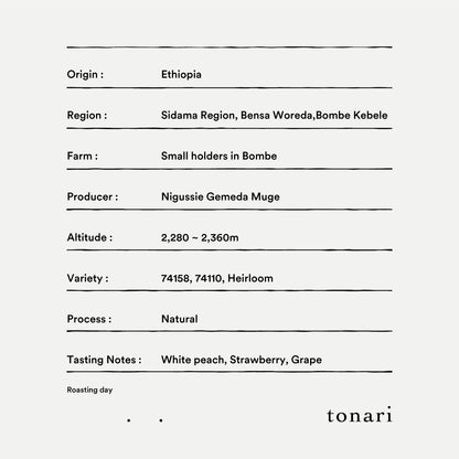 [Ethiopia] Bombe / 74158,74110,Heirloom / Natural