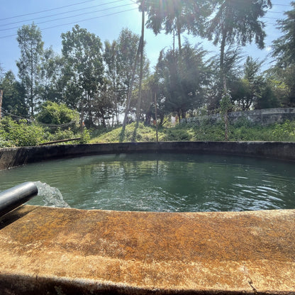 [Kenya] Kieni / SL28, SL34, Batian / Washed