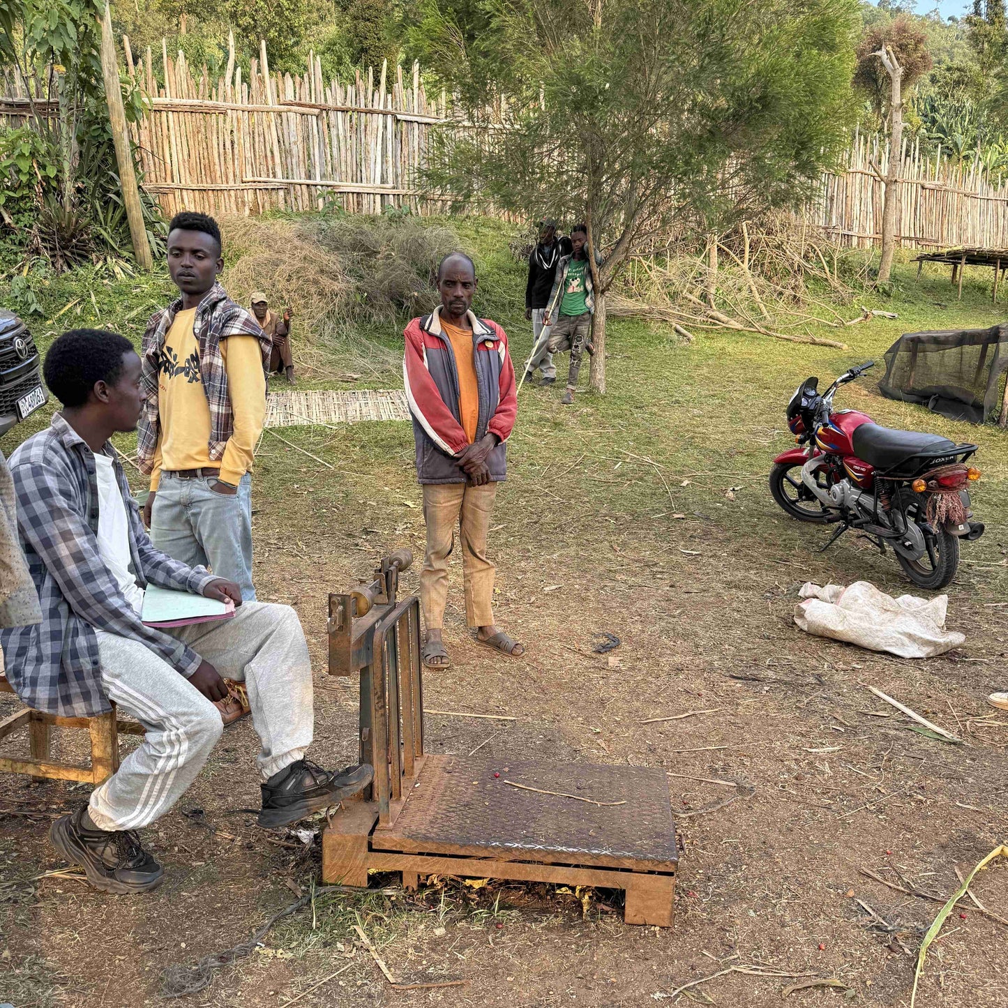 【Ethiopia】Shantawene / 74110,Heirloom / Natural