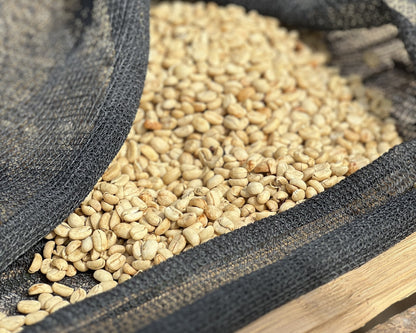 [Ethiopia] ALO,Faficho / 74158 / Zero Fermentation Washed