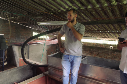 【Colombia】Finca Lusitania / Pink bourbon / Washed