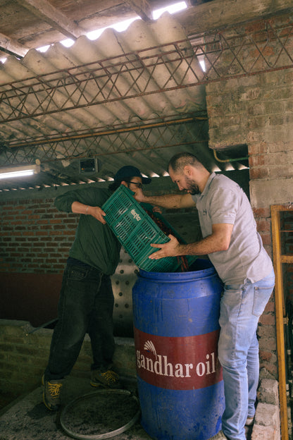 【Colombia】Finca Lusitania / Pink bourbon / Washed